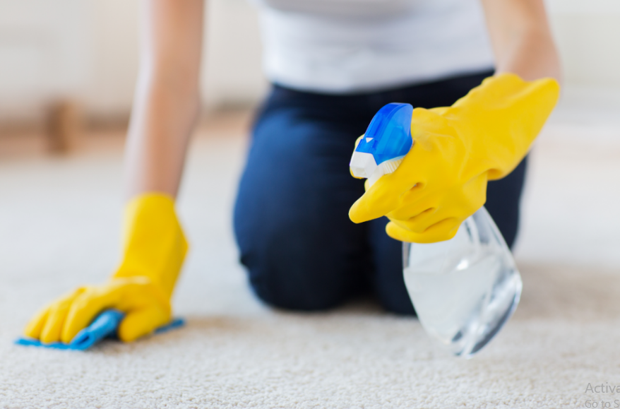 Diy Carpet Cleaning Without a Machine