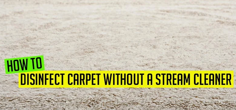 How To Disinfect Carpet Without Steam Cleaner