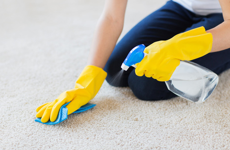 Carpet Cleaning Redcliffe Reviews