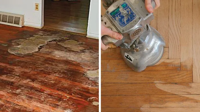 how to get dog urine out of wood under carpet